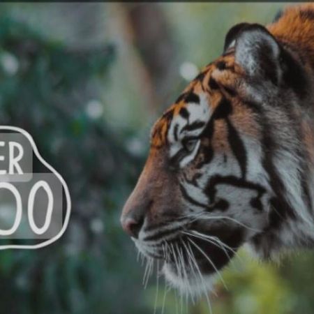 The Beautiful Bungalow Amazing Location For Chester & Zoo Wervin Εξωτερικό φωτογραφία