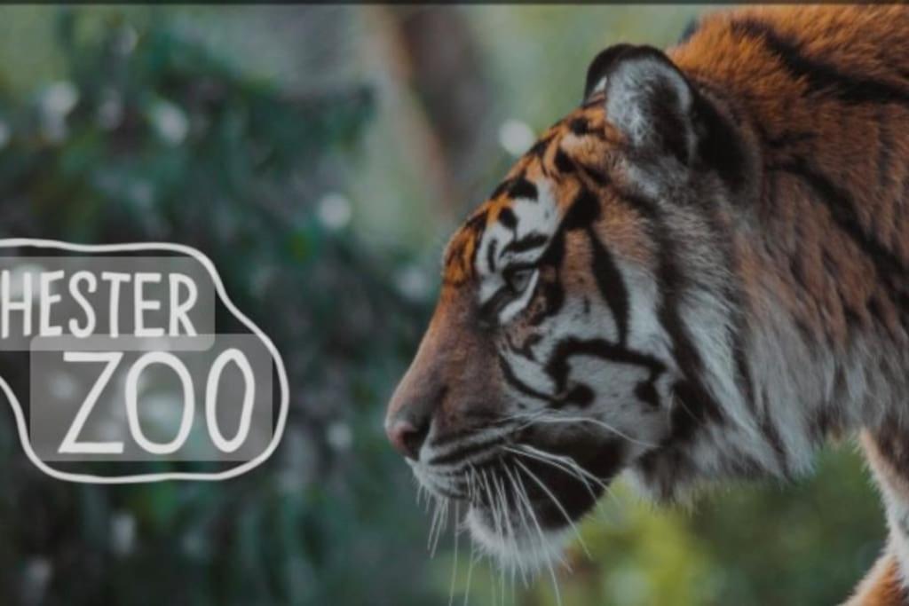 The Beautiful Bungalow Amazing Location For Chester & Zoo Wervin Εξωτερικό φωτογραφία